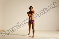 Elmer - Traditional Korean Art